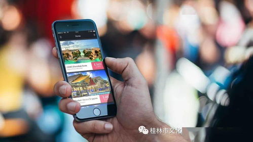 旅游服务类App个人信息收集将迎新规范 保障用户隐私，优化互联网服务