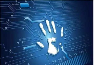 数字化转型下的新要求 公职人员必须掌握的90个新词中的关键——互联网、政务服务与个人互联网服务