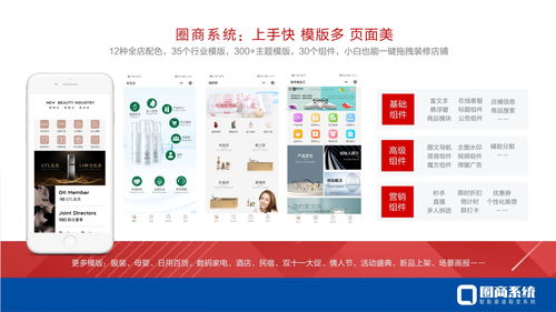 圈商系统 高端定制服务，满足企业个性需求与个人互联网生态